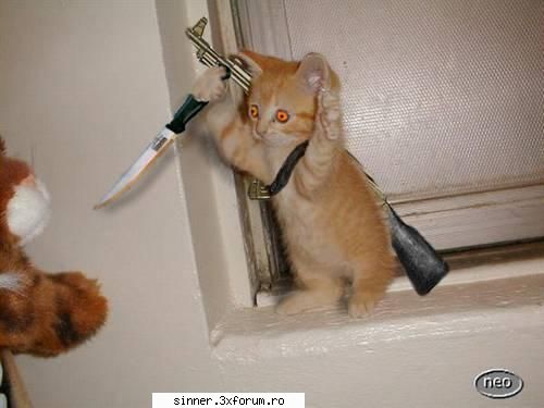 Funny Stuff - burning_angel90 - Discutzii libere