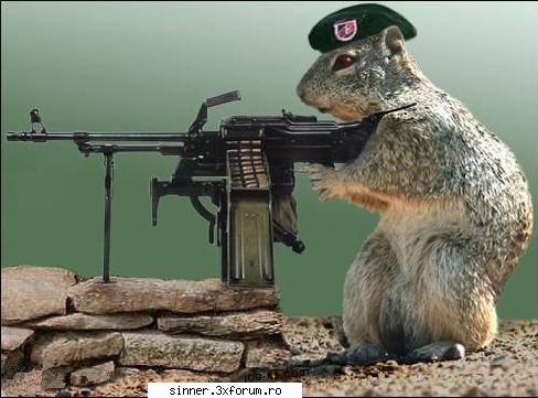 Funny Stuff - DON'T FUCK WITH ME!!!!!!!!!!!!!! - Discutzii libere